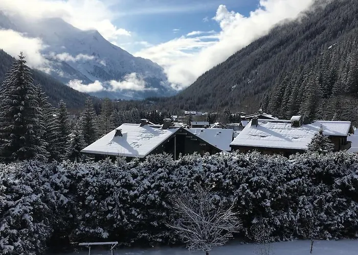 Appartement Les Montagnes Sur Le Balcon Chamonix